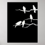 White Bird Silhouette Poster posters
