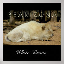 White Bison .. Bearizona Posters