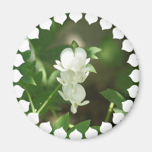 White Bleeding Heart Round Magnet
