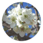 White Blossom Cluster Sticker