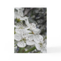 White Blossoms Sympathy Card