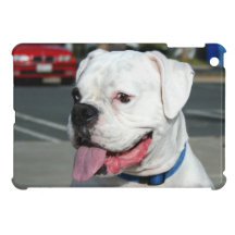 White Boxer dog  ipad Mini Case