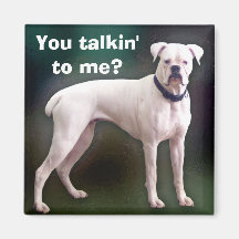 White boxer dog magnet