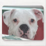 White Boxer Dog Photo Mouse Pad