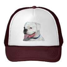 White Boxer hat