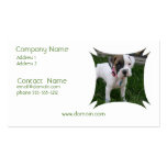 White Boxer Puppy Business Card