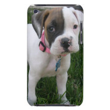 White Boxer Puppy iTouch Case iPod Case-Mate Case