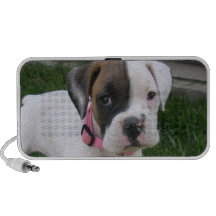 White Boxer Puppy Speakers