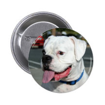 White Boxer round button