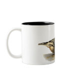 White-breasted Nuthatch Mug