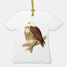 White Breasted Sea Eagle. Large Bird of Prey. Christmas Tree Ornaments
