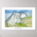 White Buffalo posters