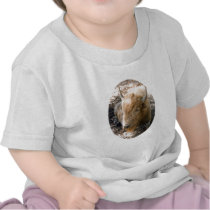 White Buffalo Tshirts