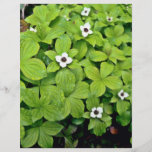 White Bunchberry Custom Flyer