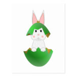 White Bunny In A Green Christmas Ornament Post Card
