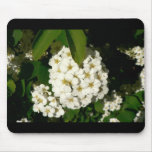White Bush Flowers mousepads
