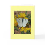 WHITE BUTTERFLY cards
