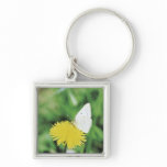 White butterfly feeding on a dandelion key chain