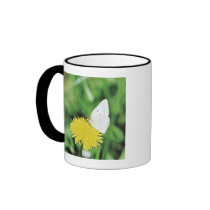 White butterfly feeding on a dandelion mug