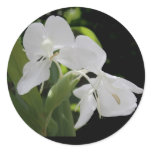 White Butterfly Ginger stickers