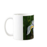 White Butterfly Iris Flower Mug