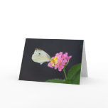 White Butterfly on Lantana - card
