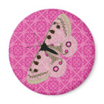 White Butterfly on Pink Refrigerator Magnets