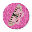 White Butterfly on Pink magnets