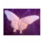 white butterfly purple background t-shirts