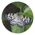 White Butterfly Stickers