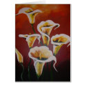 White Calla Lilies cards