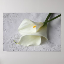 white calla lilies on linen poster