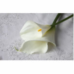 white calla lilies photo sculpture small photo sculptures