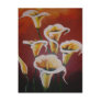 White Calla Lilies Postcard