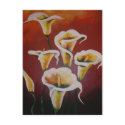 White Calla Lilies postcards