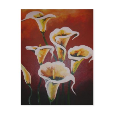 White Calla Lilies Postcard by taiche