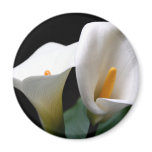 White Calla Lily Flower Round Magnet