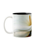 White Callas mugs