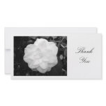 White Camelia - Thank You Personalized Photo Card
