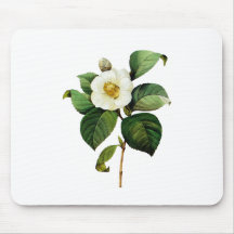 White Camellia by Pierre Joseph Redoute Mouse Pad
