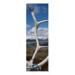 White Caribou Bones Bookmark Business Card