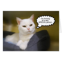 White Cat Birthday Humour Card
