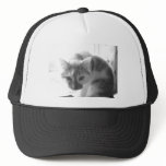 White Cat/Black & White Photo Mesh Hats