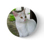 White cat button
