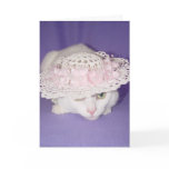 White Cat in Bonnet cards
