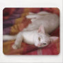 White cat mouse pads