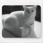 White cat mousepad