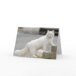 White cat with Happy Birthday Card