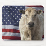 White Charolais Steer & USA Flag - Love of Country mousepads
