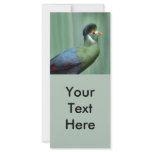 White-Cheeked Turaco rack cards